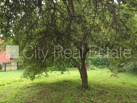 Sludinājumi. Fasādes māja, labiekārtots apzaļumots pagalms, slēgts pagalms, iežogota teritorija ar koka sētu, Cena: 170000 EUR Foto #17