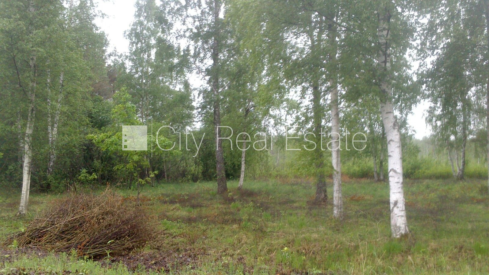 Sludinājumi. Zaļā teritorija, labiekārtota apzaļumota teritorija, zeme robežojas ar ielu, līdz jūrai 400 m, Cena: 37500 EUR Foto #1