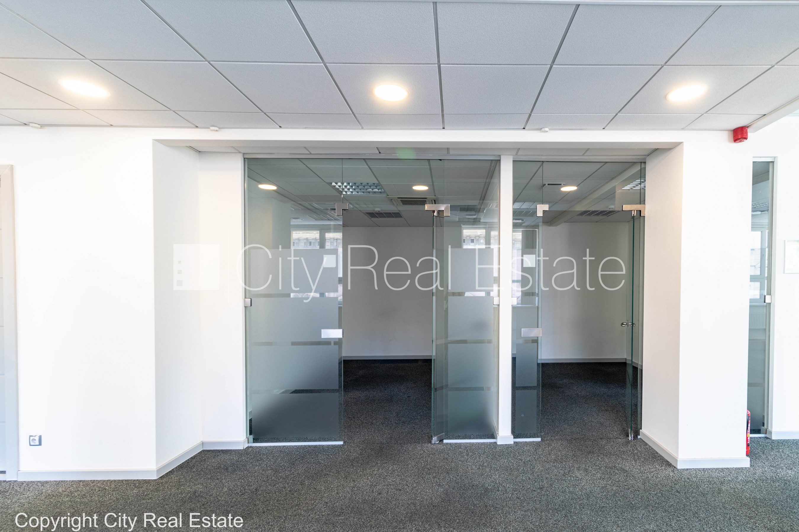 Объявление. Фасадный дом, реновированный дом, плата за обслуживание одного квадратного метра в  месяц 1,6 EUR, Цена: 3199 EUR/мес. Foto #8