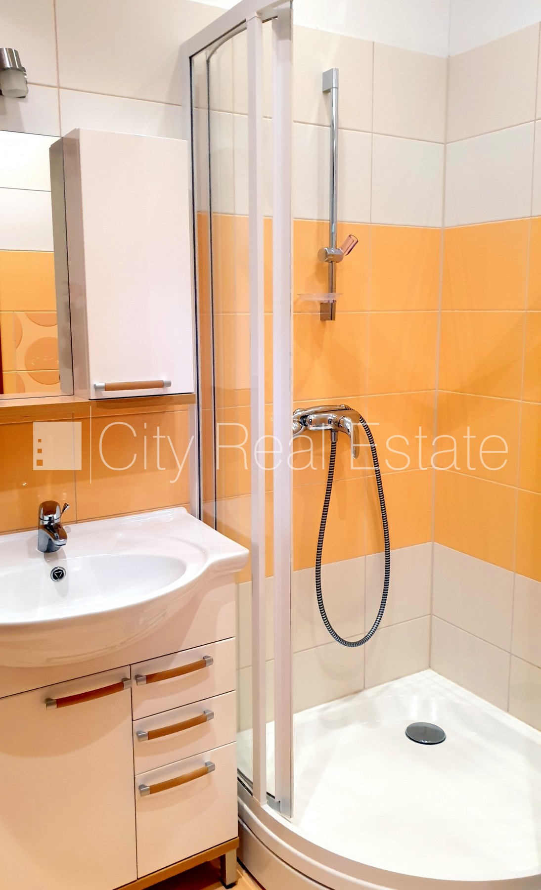 Sludinājumi. Zeme īpašumā, jaunceltne, fasādes māja, ķieģeļu mūra sienas, labiekārtota apzaļumota teritorija Cena: 1.35e+06 EUR Foto #25