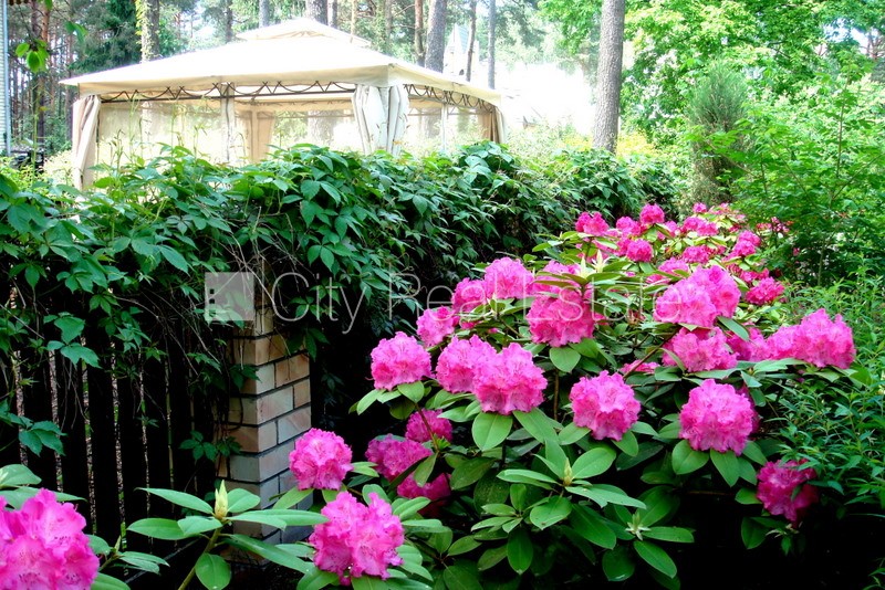 Sludinājumi. Zeme īpašumā, privātmāja, jaunceltne, keramzīta bloku sienas, labiekārtota apzaļumota teritorija Cena: 750000 EUR Foto #25