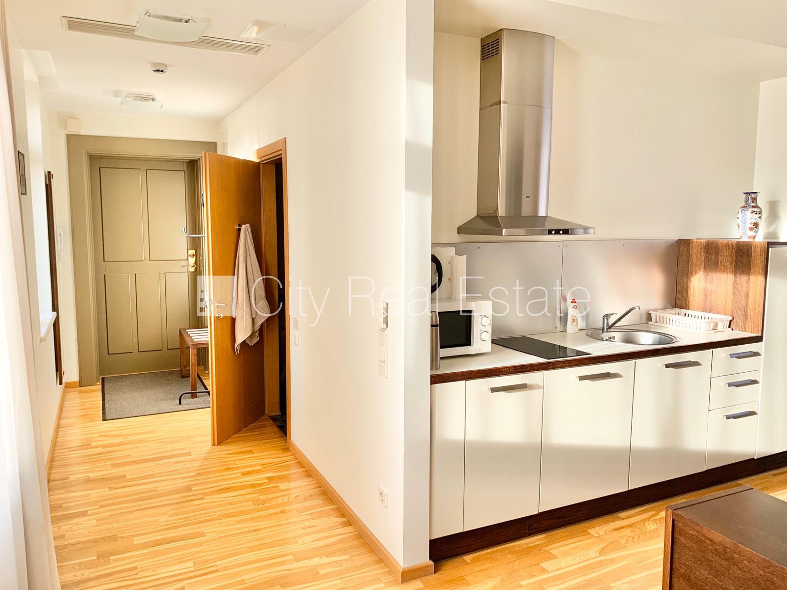 Sludinājumi. Fasādes māja, ieeja no ielas, ir lifts, guļamistabu skaits 1 gab., augstie griesti, gāzes apkure, Cena: 600 EUR/mēn Foto #18