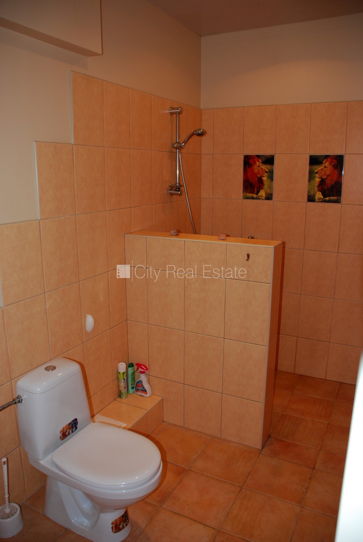 Sludinājumi. Renovēta māja, labiekārtota apzaļumota teritorija, slēgts pagalms, vieta automašīnai, kāpņu telpa Cena: 115000 EUR Foto #8