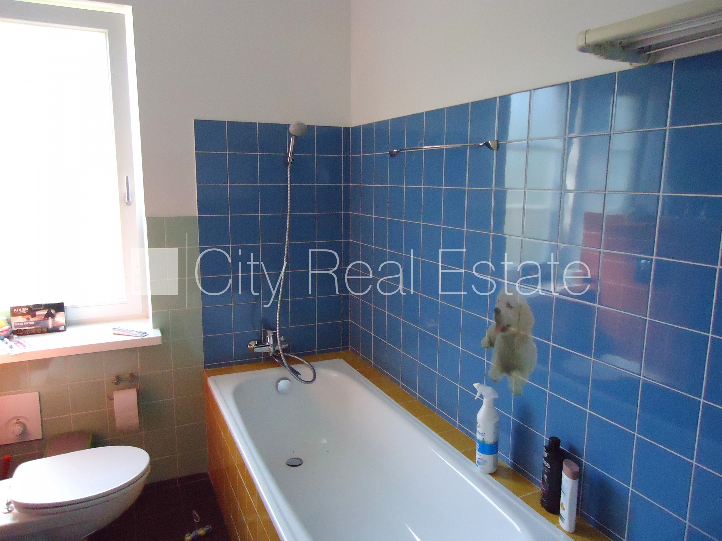 Sludinājumi. Zeme īpašumā, jaunceltne, dakstiņu jumta segums, ķieģeļu mūra sienas, labiekārtota apzaļumota Cena: 525000 EUR Foto #17