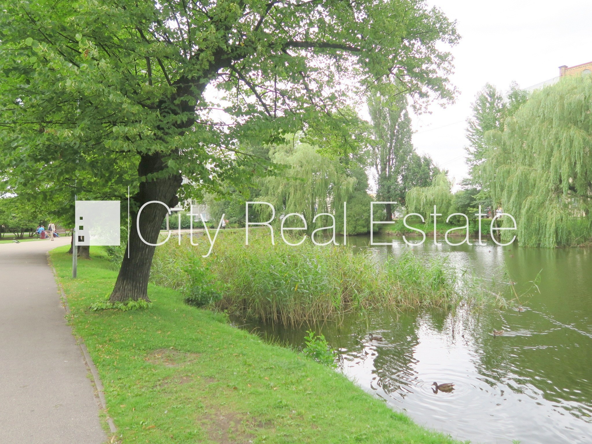 Sludinājumi. Jaunceltne, fasādes māja, labiekārtots apzaļumots pagalms, slēgts pagalms, iespēja nomāt Cena: 140000 EUR Foto #12