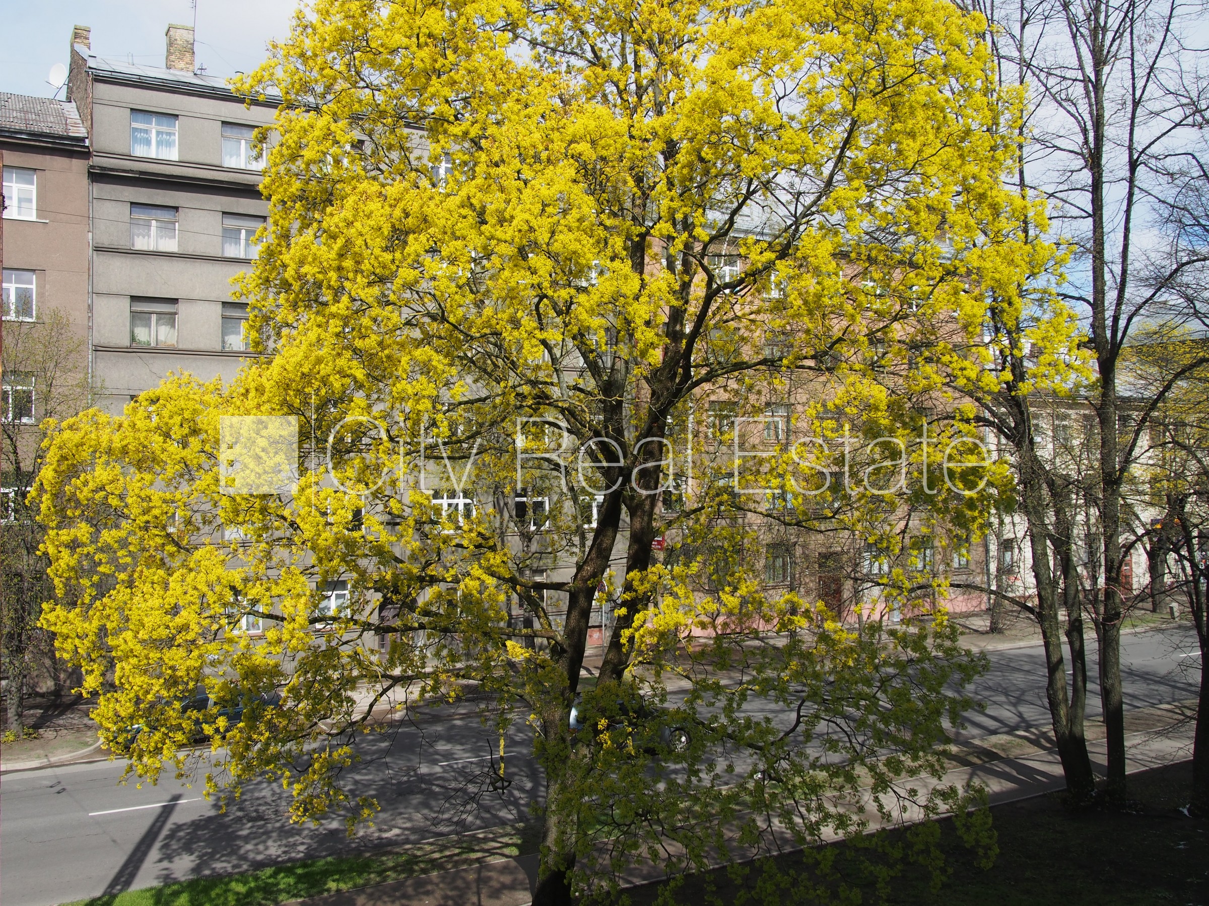 Sludinājumi. Fasādes māja, labiekārtota apzaļumota teritorija, iežogota teritorija, ieeja no pagalma, logi Cena: 280 EUR/mēn Foto #20