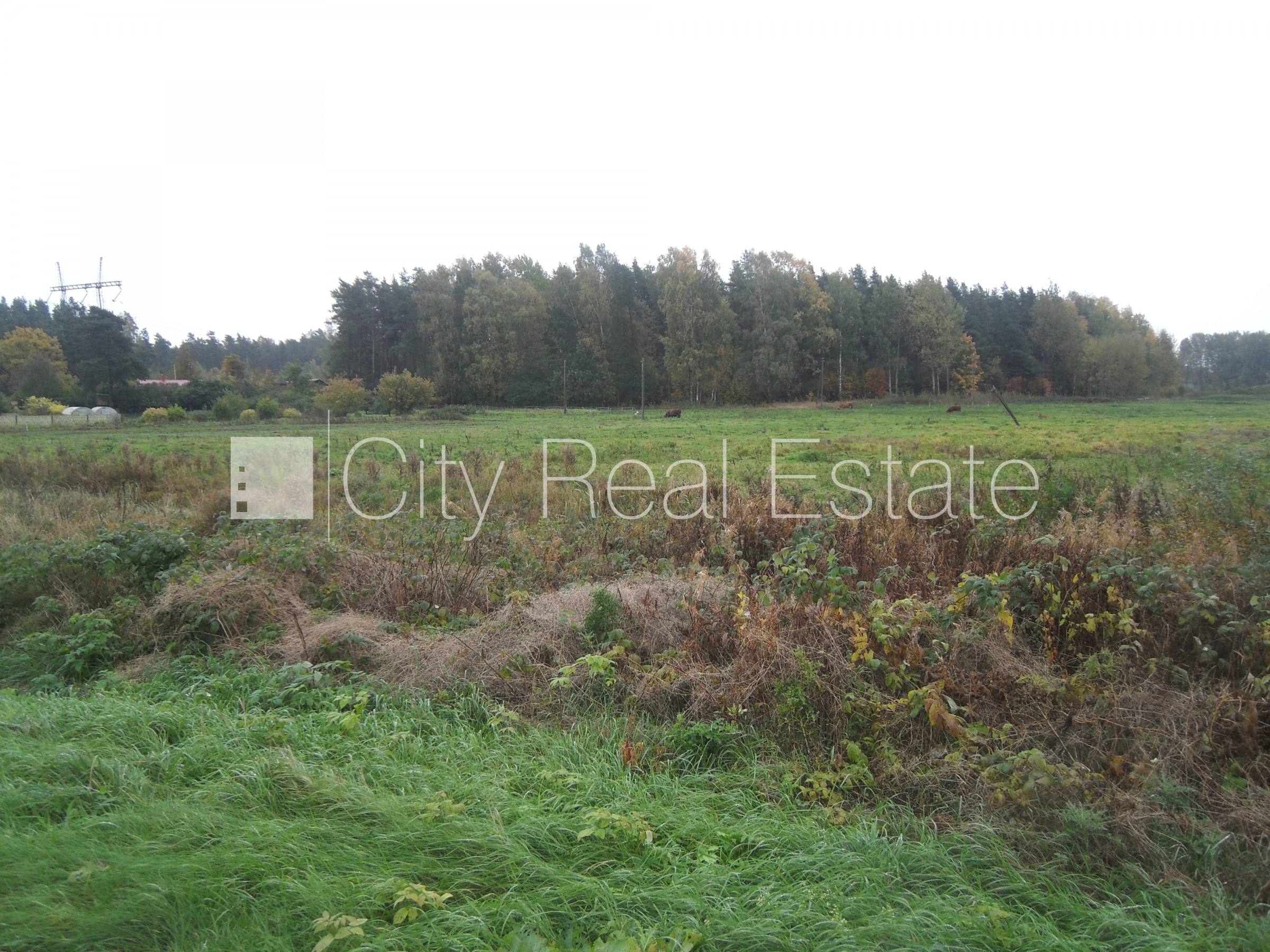 Sludinājumi. Atļauts būvēt ražošanas telpas, iespējama mazstāvu apbūve, zeme robežojas ar ielu, zeme robežojas Cena: 85000 EUR Foto #2