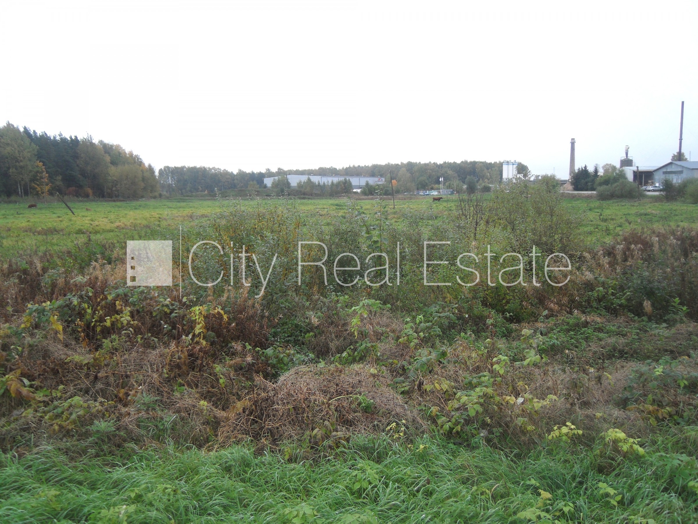 Sludinājumi. Atļauts būvēt ražošanas telpas, iespējama mazstāvu apbūve, zeme robežojas ar ielu, zeme robežojas Cena: 85000 EUR Foto #3