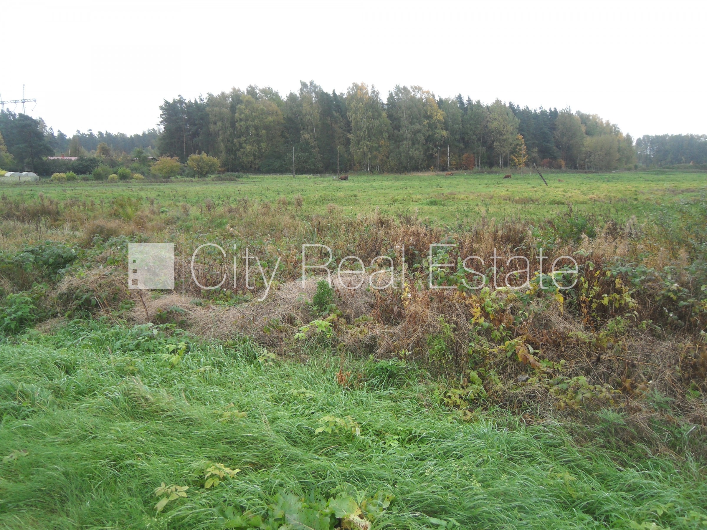 Sludinājumi. Atļauts būvēt ražošanas telpas, iespējama mazstāvu apbūve, zeme robežojas ar ielu, zeme robežojas Cena: 85000 EUR Foto #6