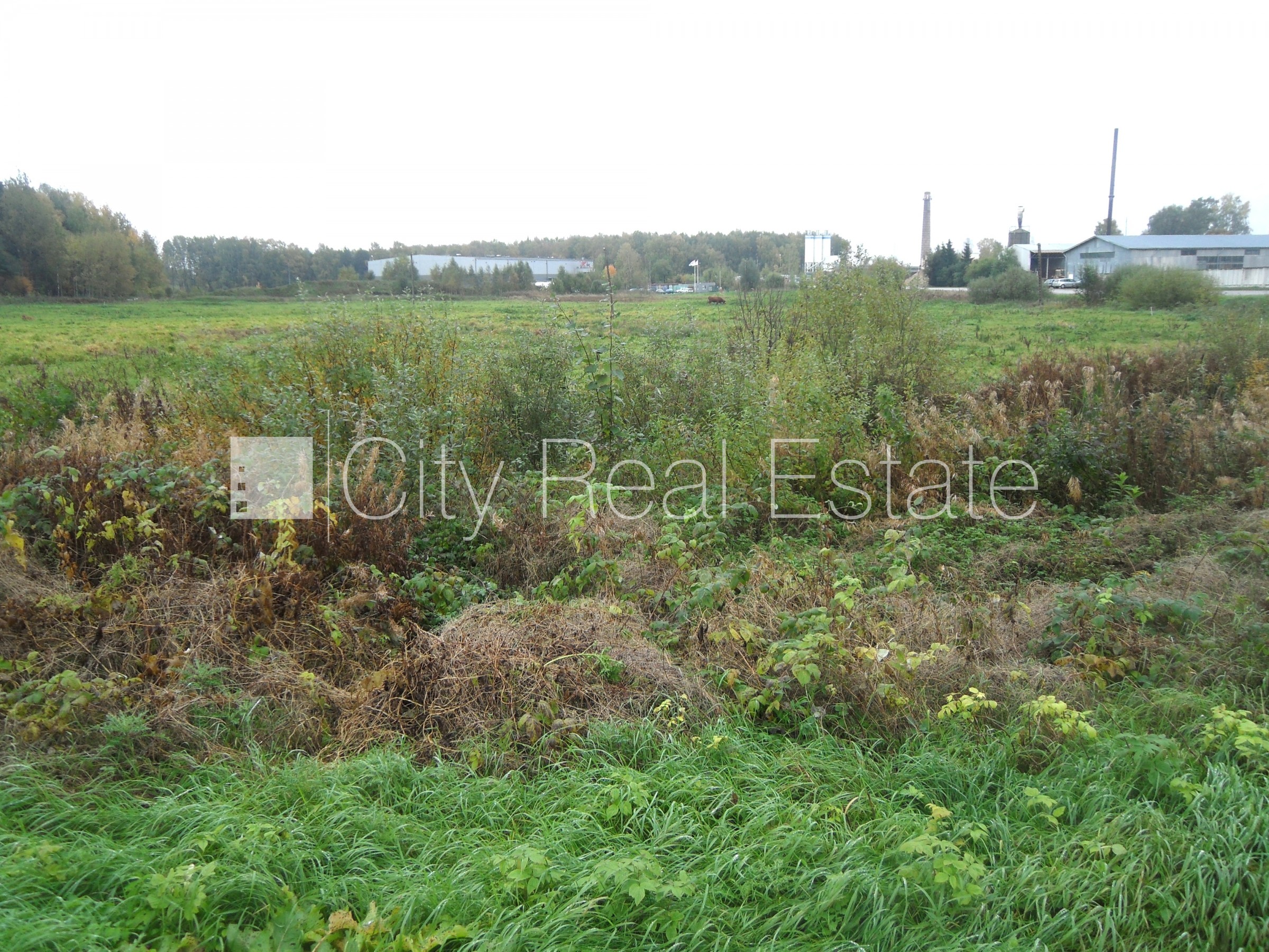 Sludinājumi. Atļauts būvēt ražošanas telpas, iespējama mazstāvu apbūve, zeme robežojas ar ielu, zeme robežojas Cena: 85000 EUR Foto #9