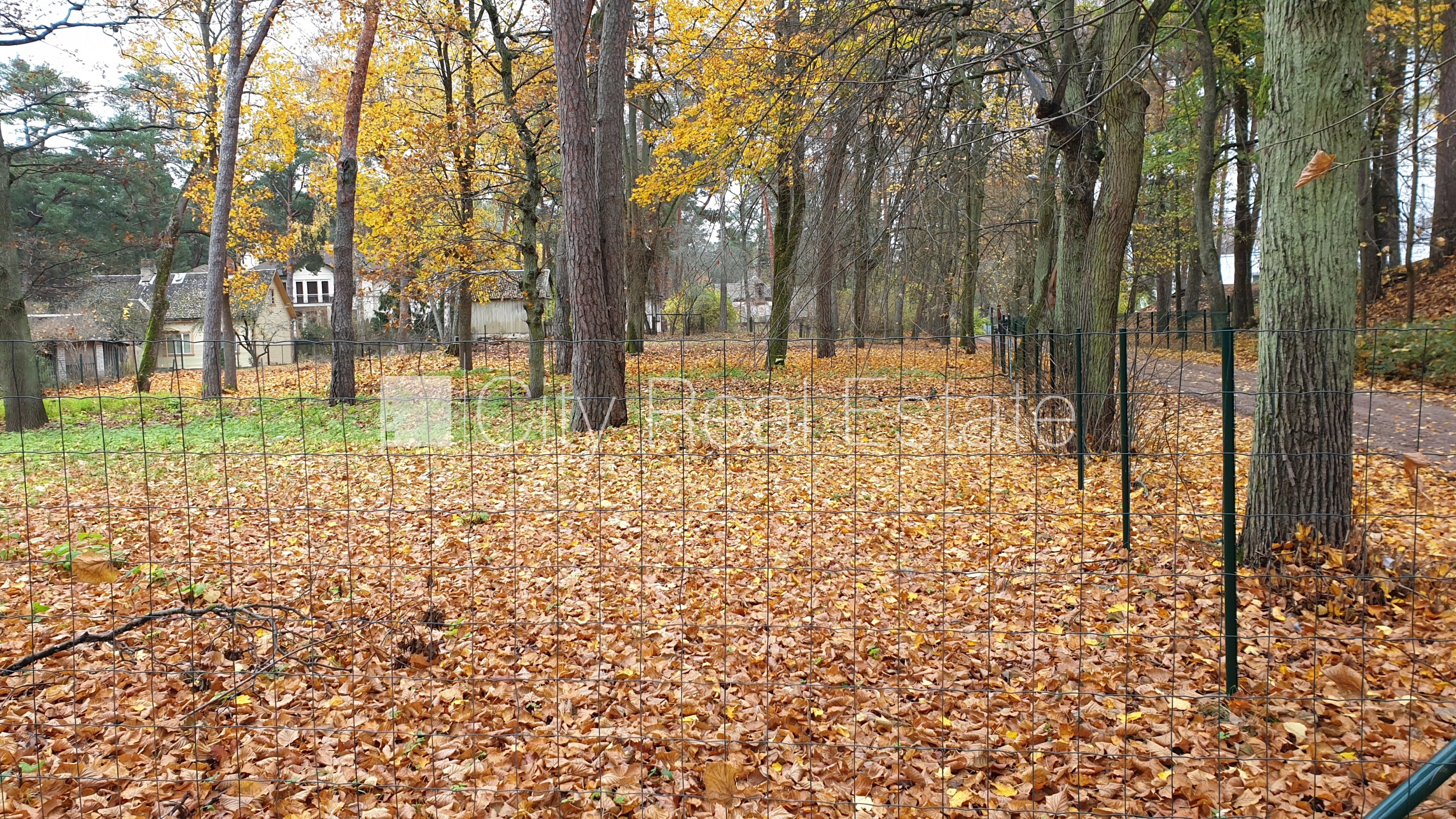 Объявление. Разрешена застройка домов, возможна малоэтажная постройка, разрешено строить одноэтажное здание, Цена: 995000 EUR Foto #5