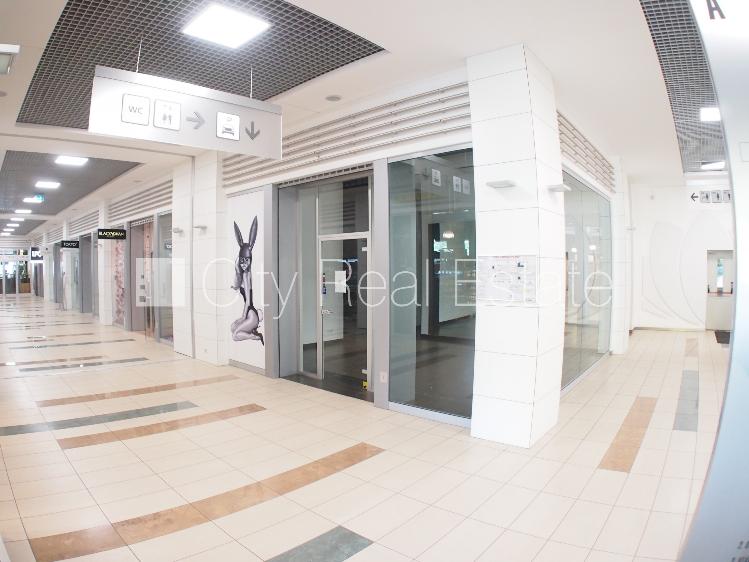 Sludinājumi. Jaunceltne, fasādes māja, ieeja no ielas, augstie griesti, centrālā apkure, apkures skaitītāji, Cena: 377 EUR/mēn Foto #2