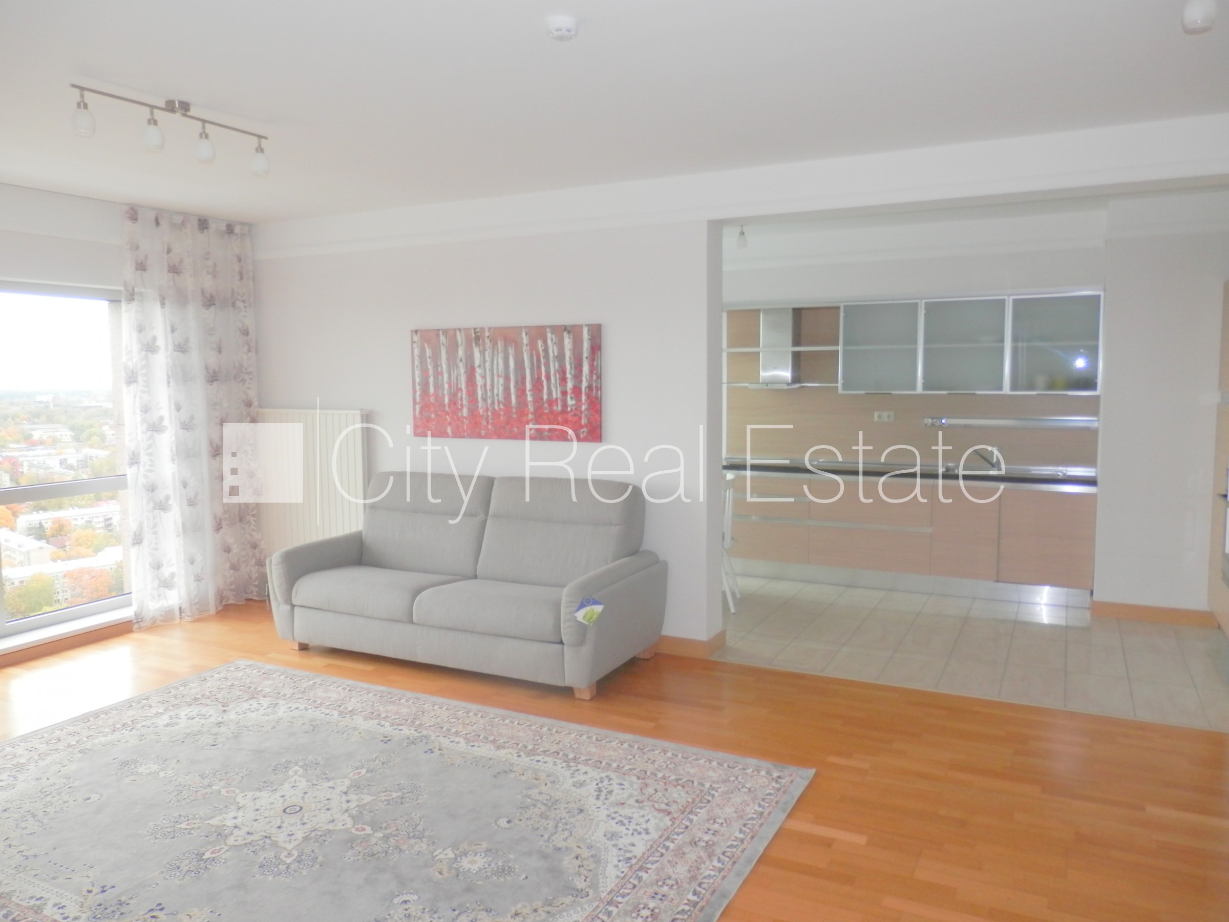 Sludinājumi. Projekts - Panorama Plaza, jaunceltne, teritorijas iebrauktuves vārti aprīkoti ar automatizētu Cena: 930 EUR/mēn Foto #10