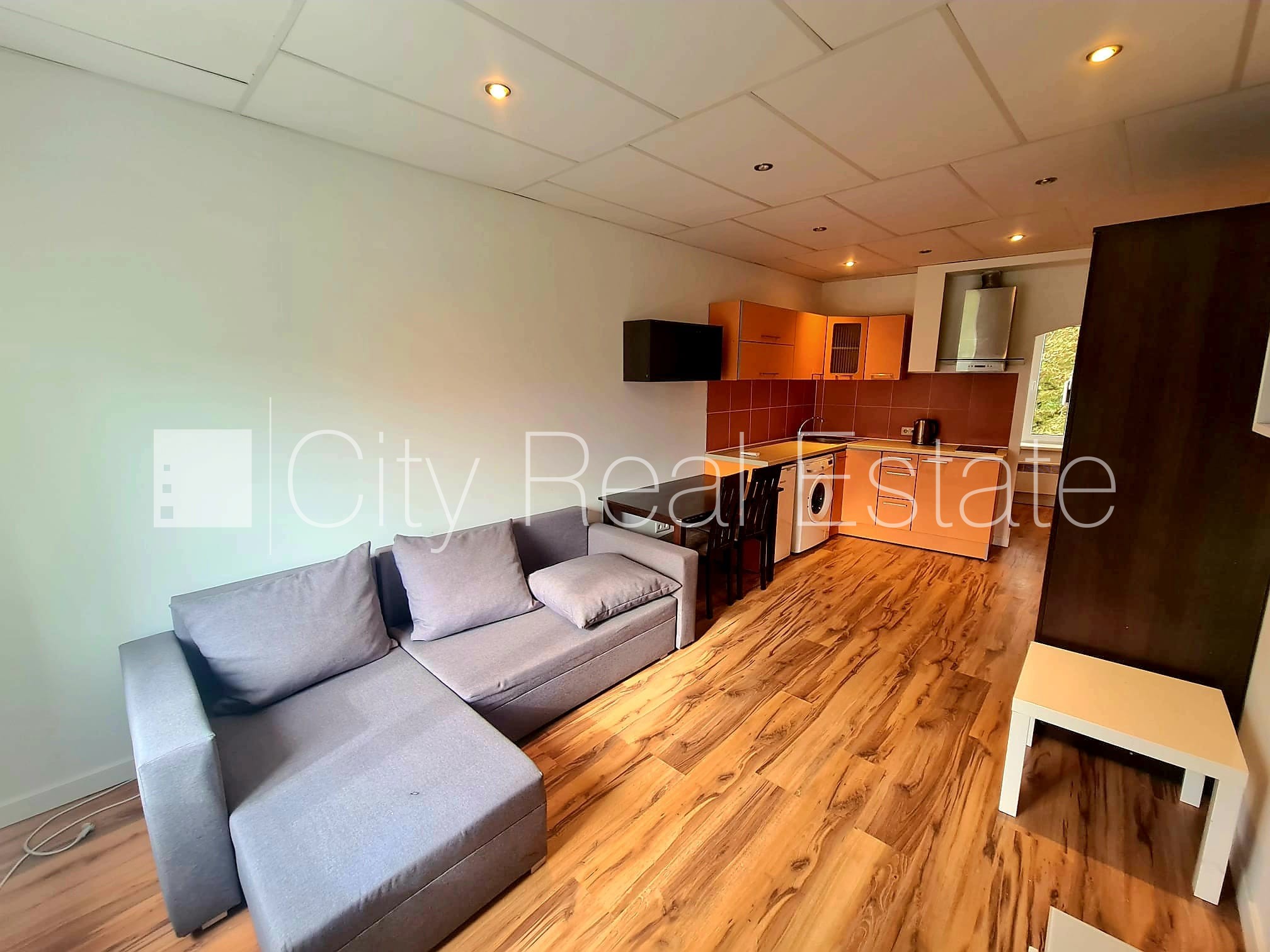 Sludinājumi. Fasādes māja, labiekārtota apzaļumota teritorija, ieeja no ielas un pagalma, studio tipa, virtuve Cena: 23000 EUR Foto #3