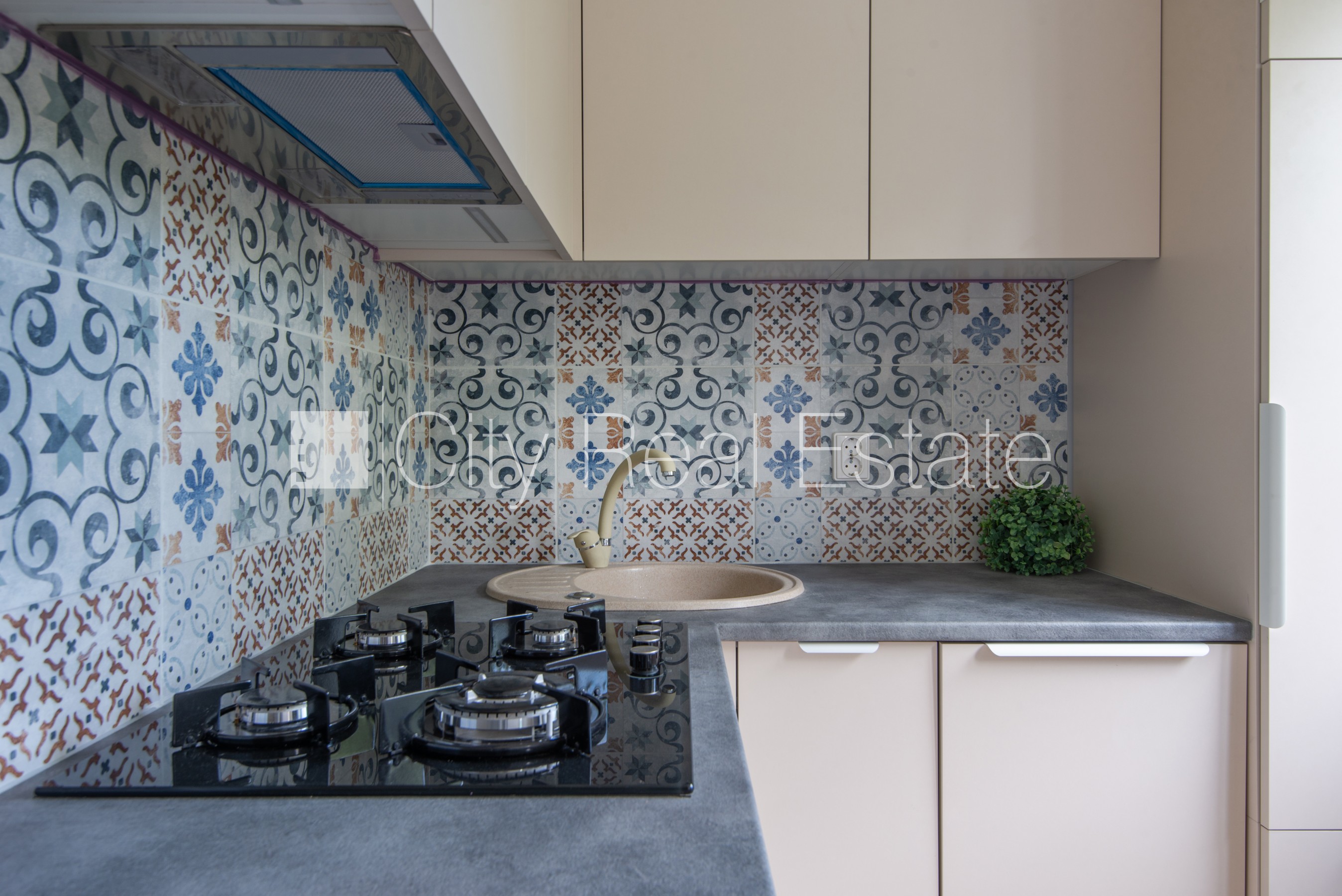 Sludinājumi. Zeme īpašumā, pagalma māja, labiekārtota apzaļumota teritorija, bezmaksas stāvvieta pagalmā, kāpņu Cena: 88000 EUR Foto #2