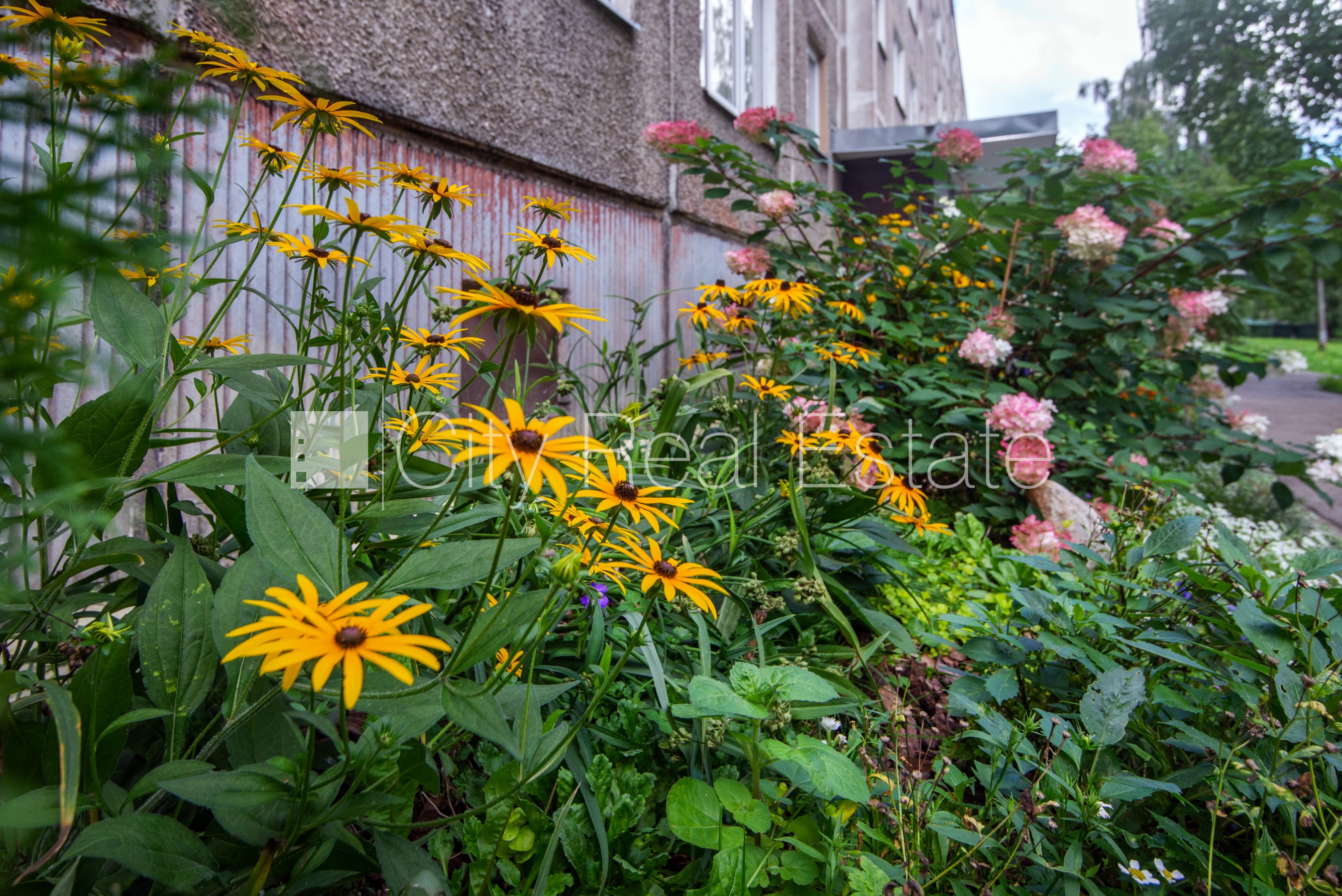 Sludinājumi. Zeme īpašumā, pagalma māja, labiekārtota apzaļumota teritorija, bezmaksas stāvvieta pagalmā, kāpņu Cena: 88000 EUR Foto #16