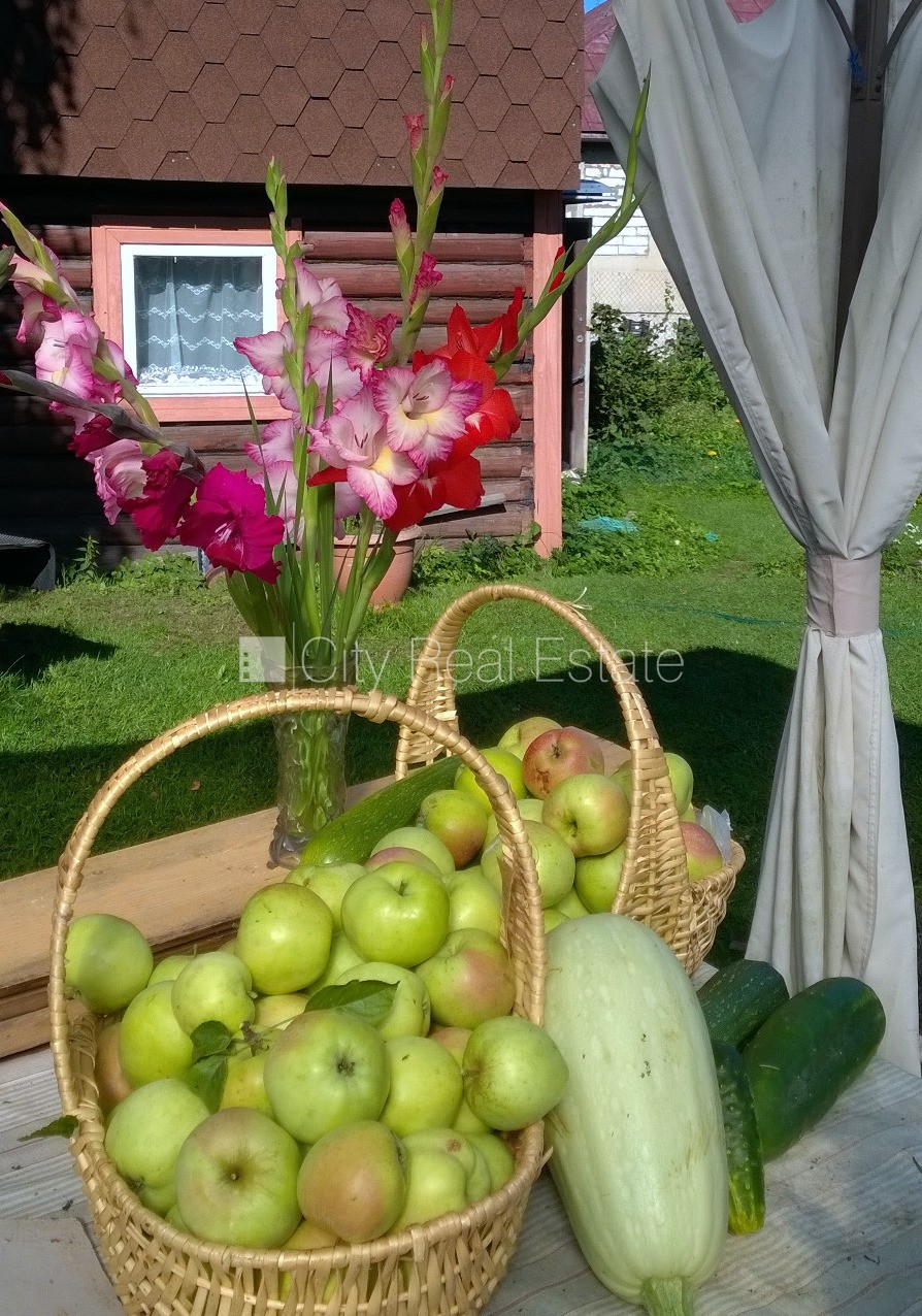 Sludinājumi. Koka māja, guļbūve, slēgts pagalms, iežogota teritorija ar metāla sētu, ieeja no ielas, istabas Cena: 79000 EUR Foto #22