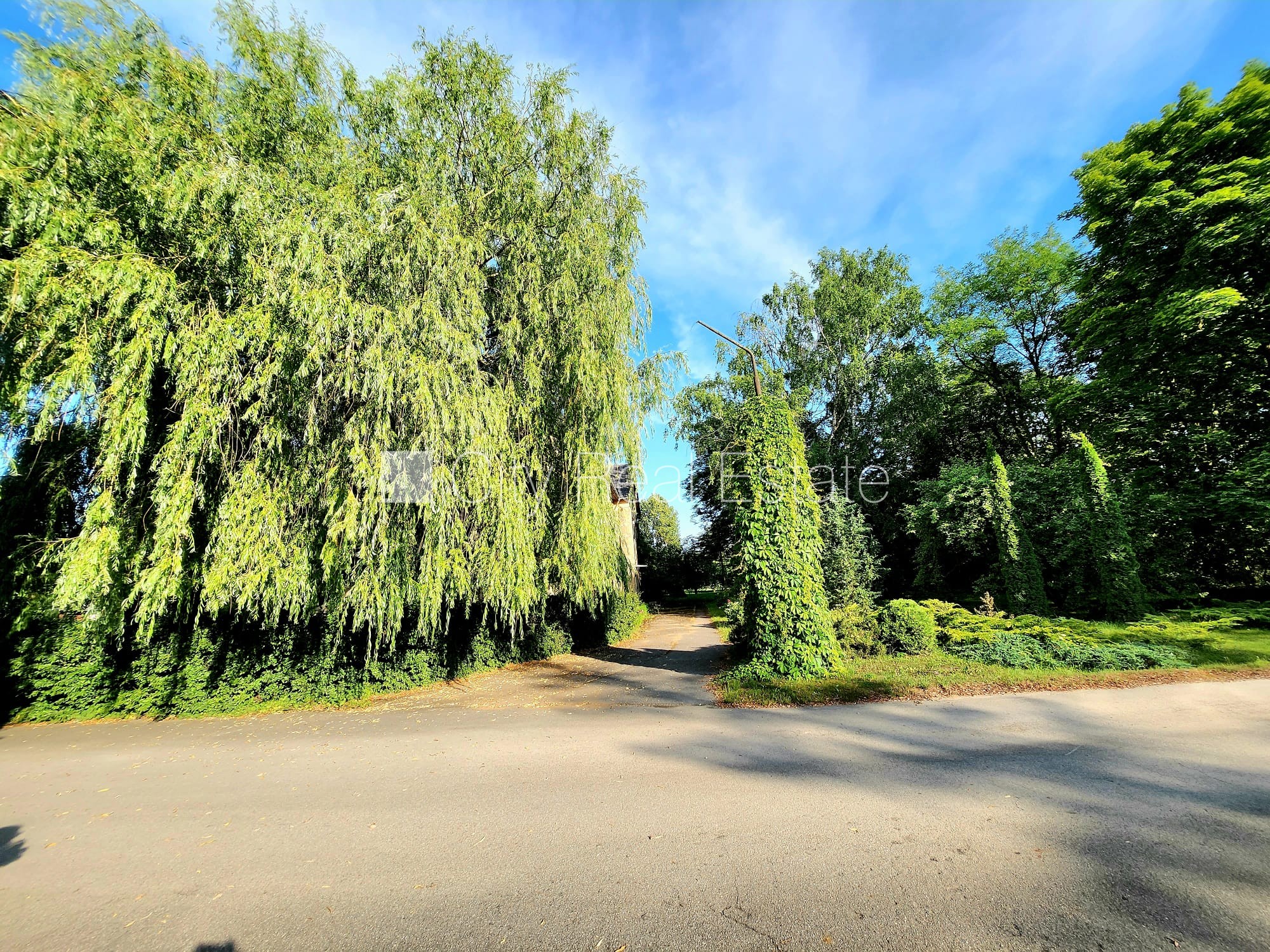 Sludinājumi. Labiekārtota apzaļumota teritorija, vieta vairākām automašīnām, teritorijas stāvlaukums noklāts ar Cena: 175000 EUR Foto #15