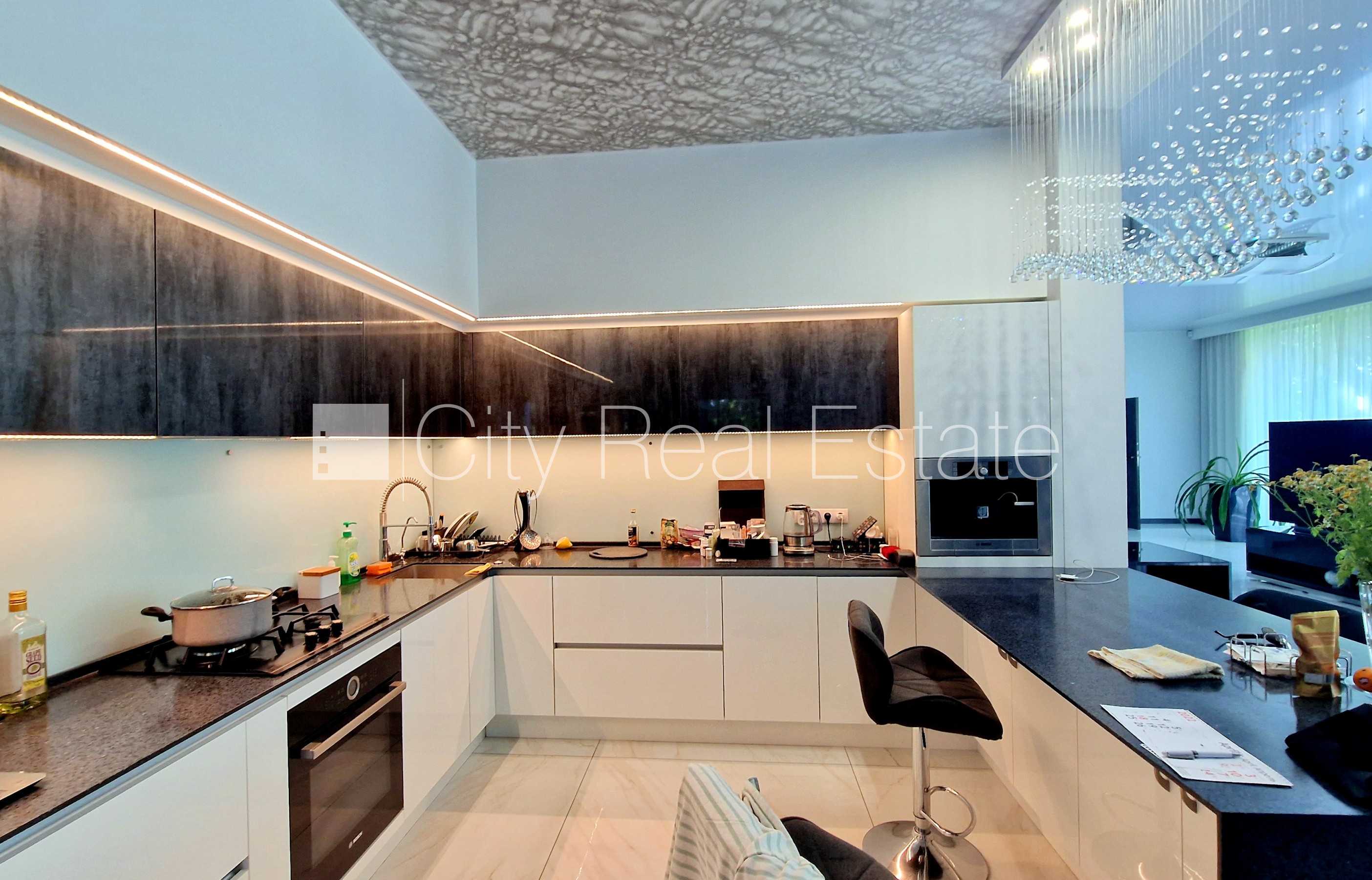 Sludinājumi. Zeme īpašumā, privātmāja, jaunceltne, labiekārtota apzaļumota teritorija, iežogota teritorija ar Cena: 2.9e+06 EUR Foto #3