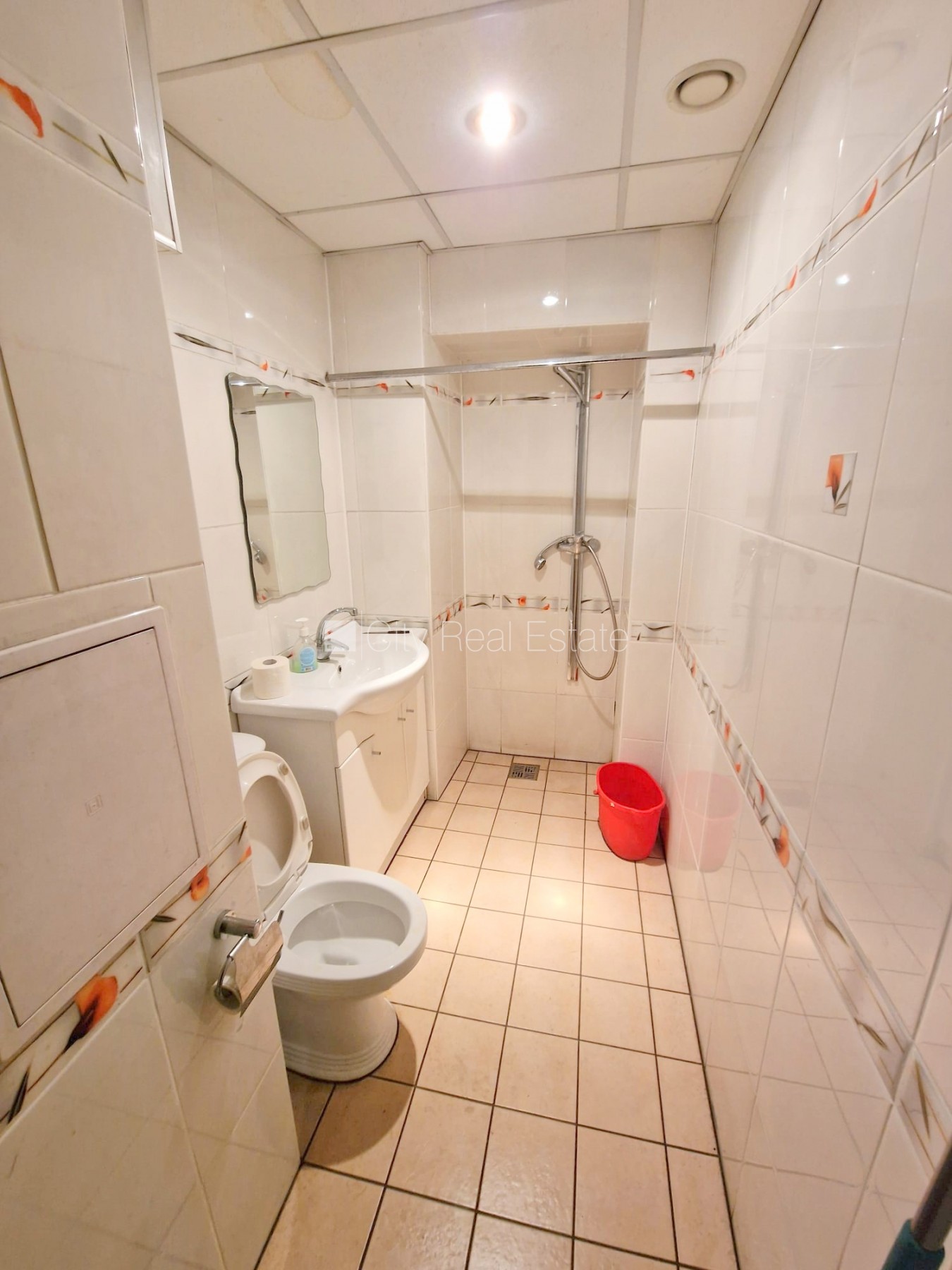 Объявление. Земля в собственности, домовладение, заменены инженерные коммуникации, кирпичные стены, подъездная Цена: 85000 EUR Foto #15