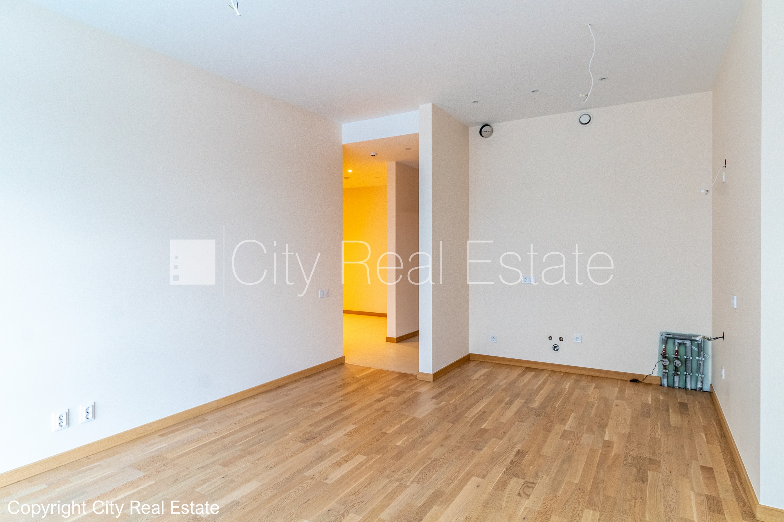 Объявление. Земля в собственности, новостройка, монолитные бетонные стены, зеленая территория, подъездная Цена: 310000 EUR Foto #6