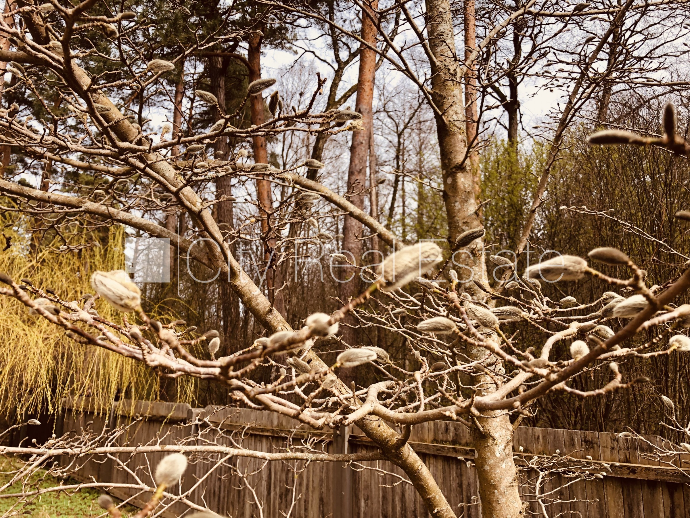 Sludinājumi. Privātmāja, labiekārtots apzaļumots pagalms, bruģēts piebraucamais ceļš, iežogota teritorija, Cena: 1600 EUR/mēn Foto #15