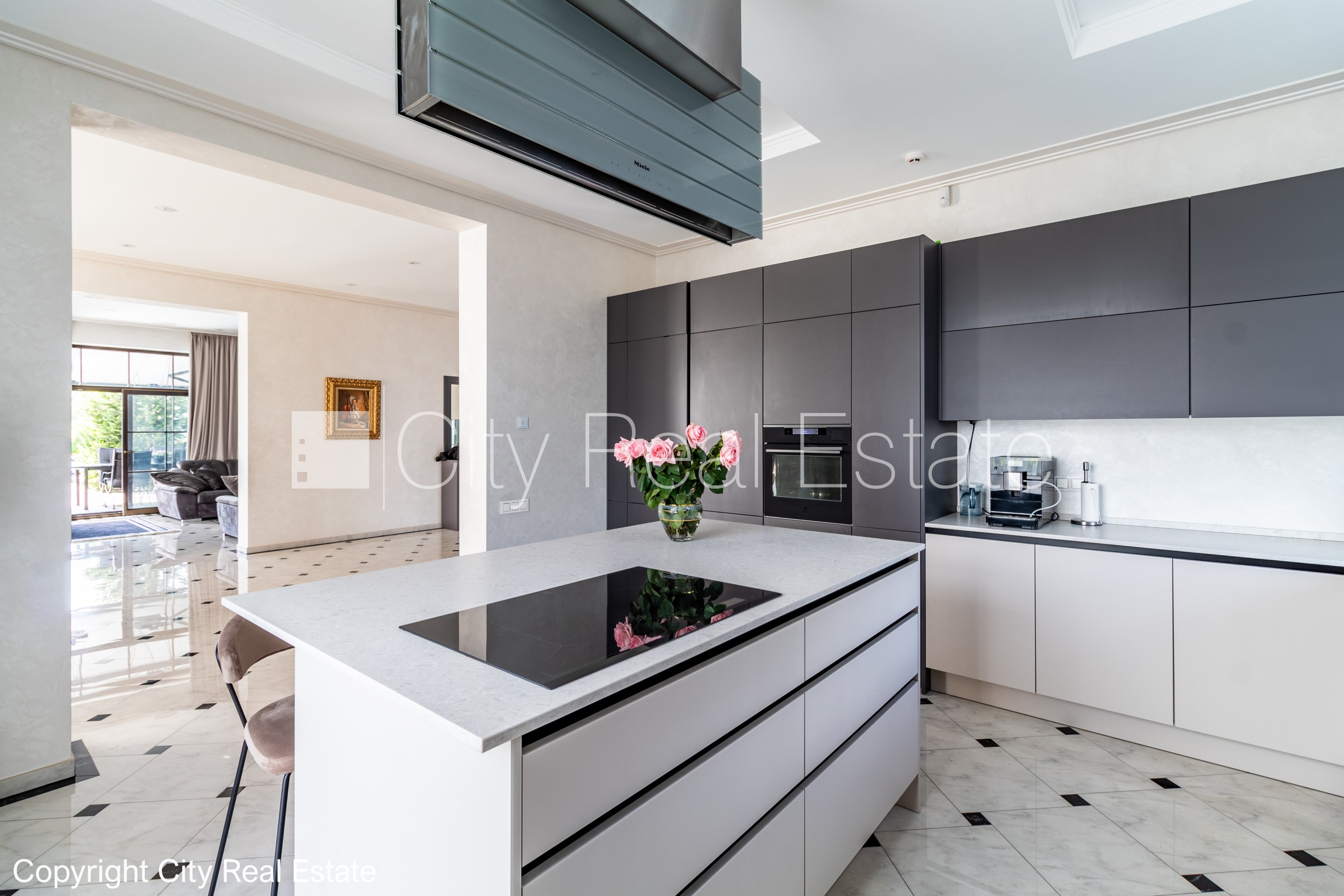 Sludinājumi. Privātmāja, labiekārtota apzaļumota teritorija, labiekārtots apzaļumots pagalms 2840 m2, iežogota Cena: 990000 EUR Foto #6