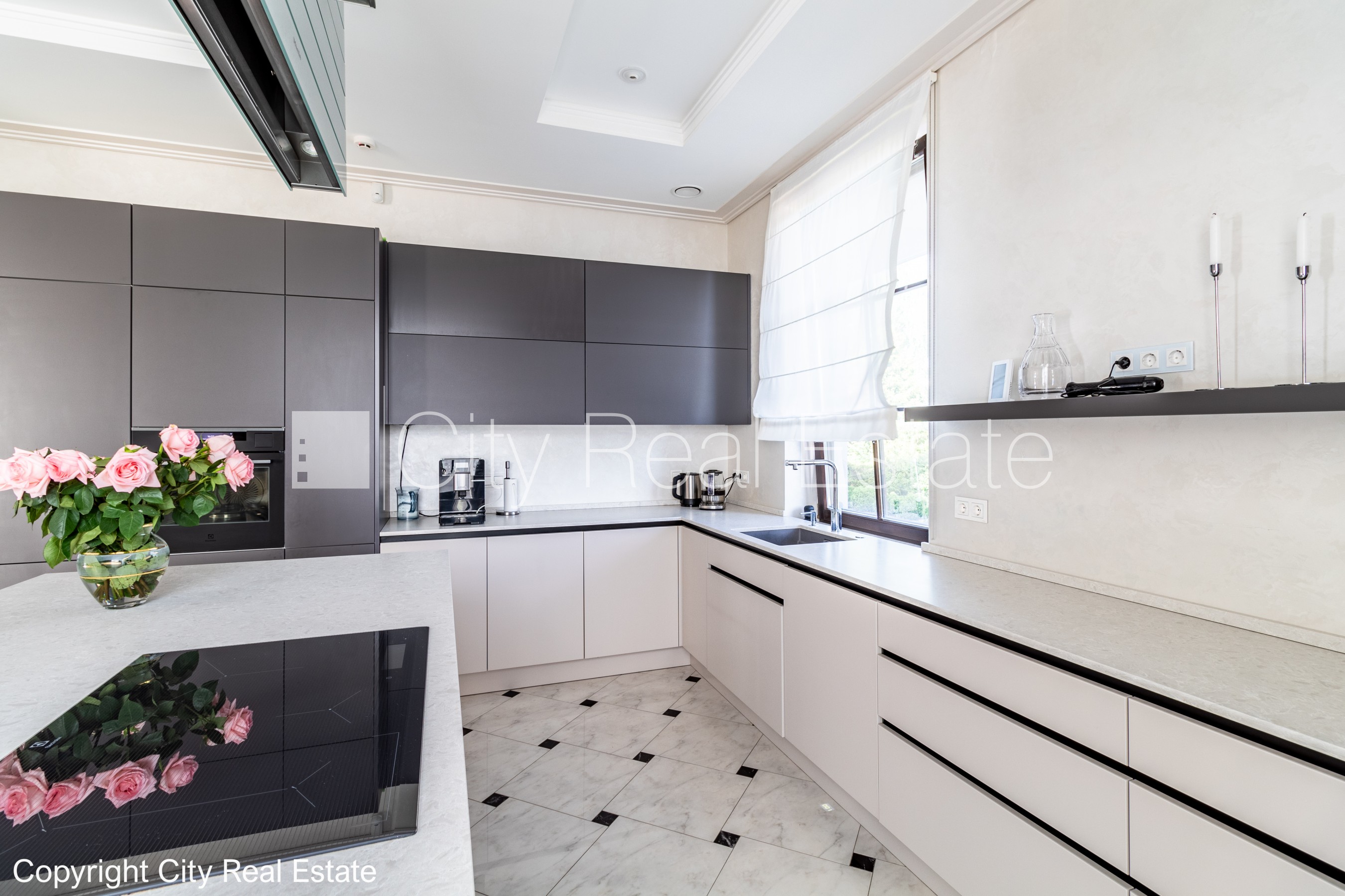 Sludinājumi. Privātmāja, labiekārtota apzaļumota teritorija, labiekārtots apzaļumots pagalms 2840 m2, iežogota Cena: 990000 EUR Foto #8