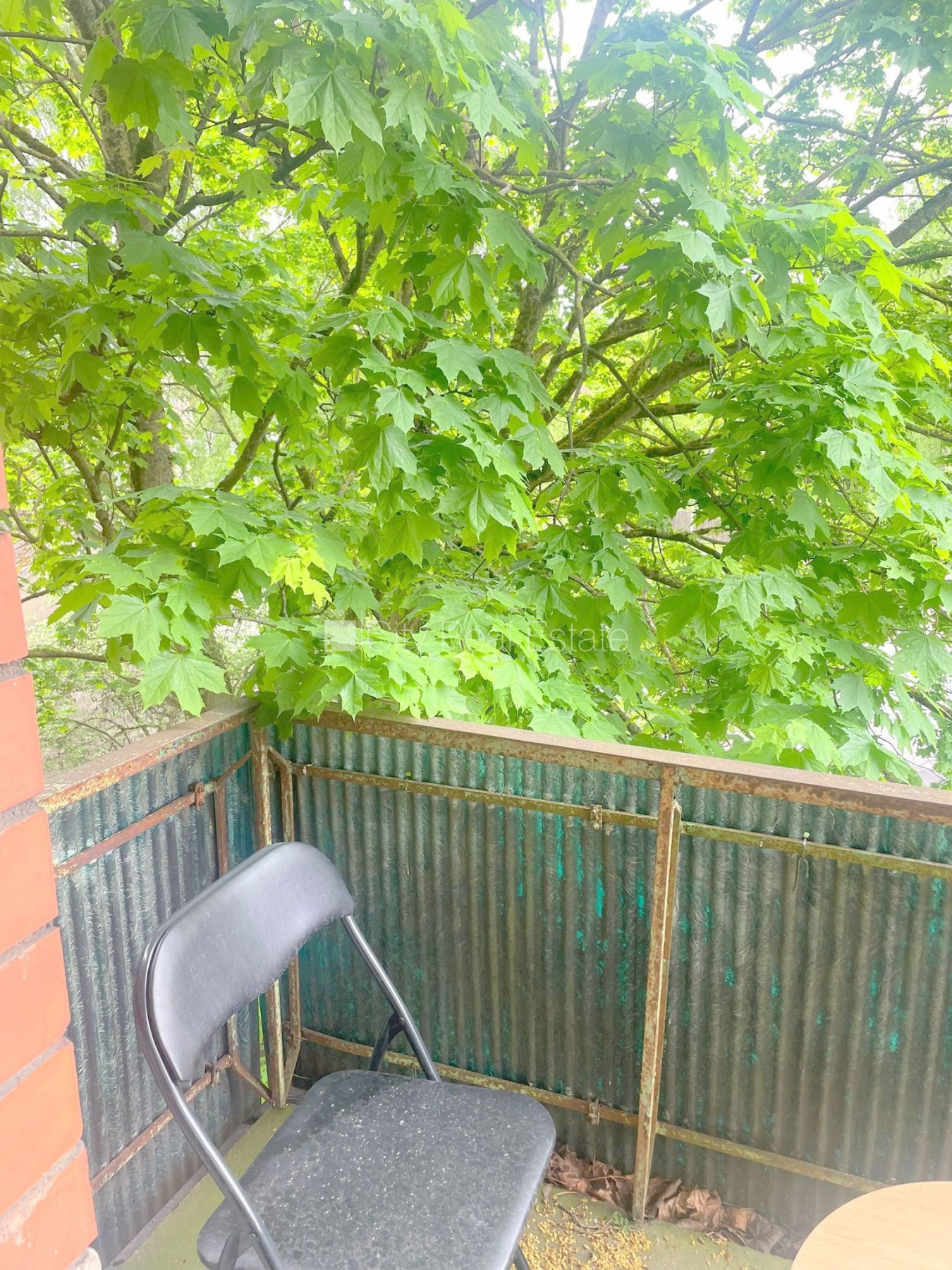 Sludinājumi. Pagalma ēka, ieeja no pagalma, kāpņu telpa pēc kosmētiskā remonta, logi vērsti mājas abās pusēs, Cena: 37800 EUR Foto #12