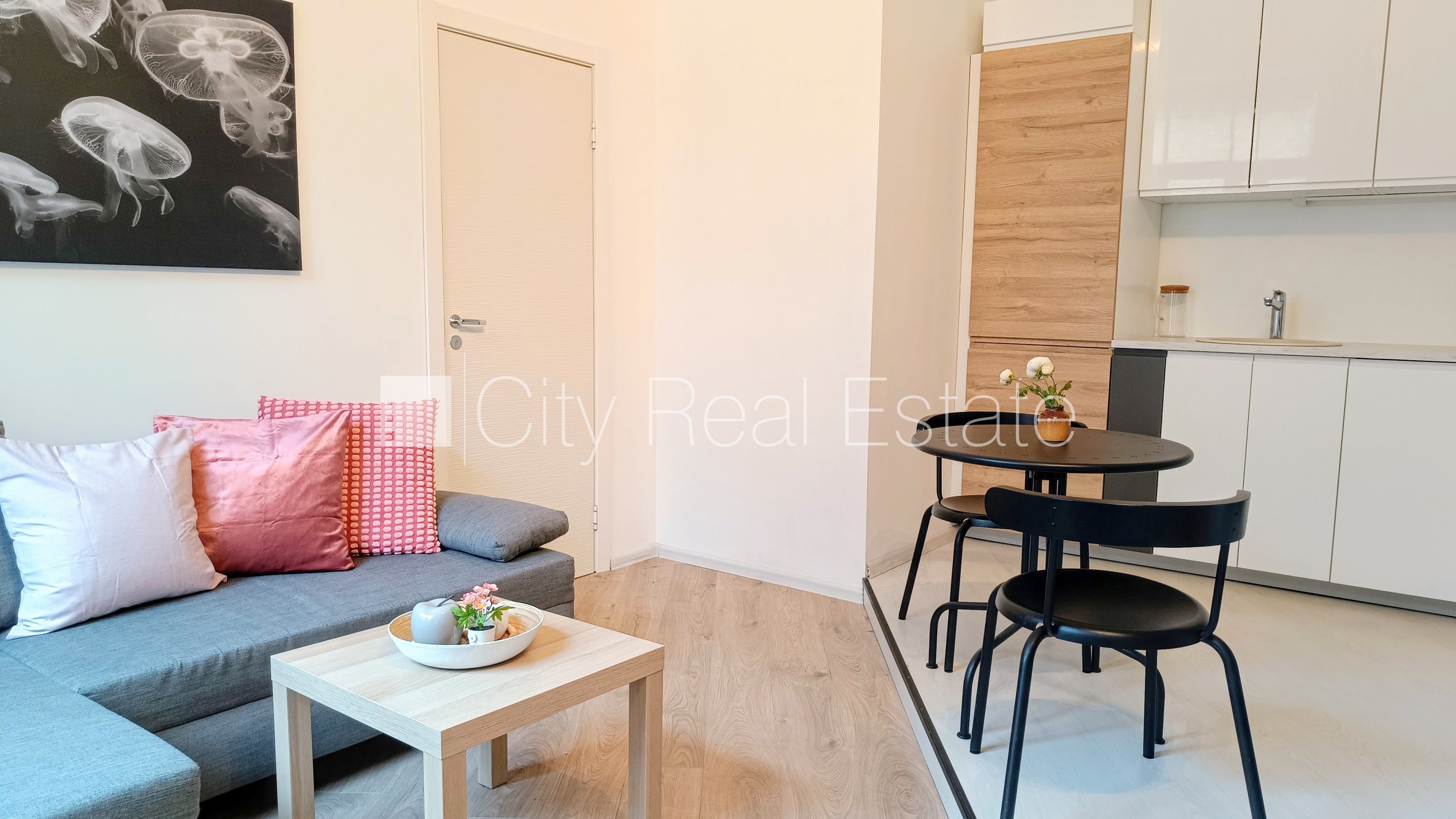 Sludinājumi. Pagalma ēka, renovēta māja, slēgts pagalms, ieeja no ielas un pagalma, kāpņu telpa pēc kapitālā Cena: 500 EUR/mēn Foto #5