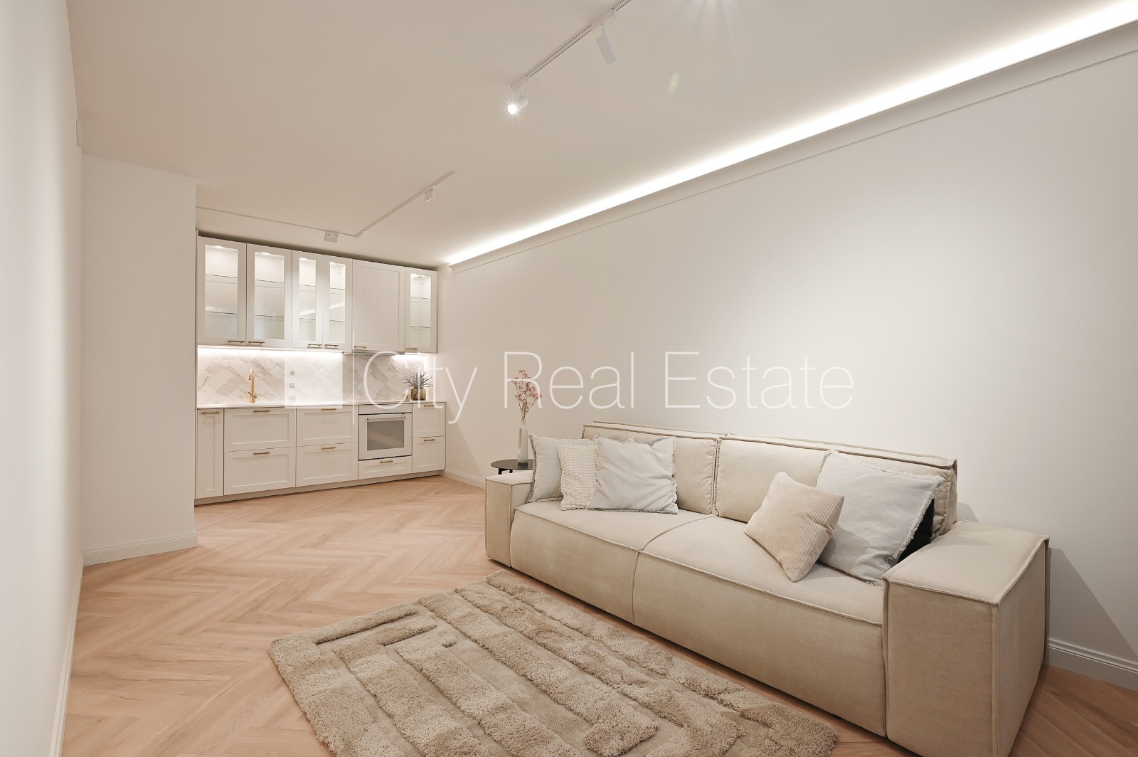 Sludinājumi. Renovēta māja, labiekārtots apzaļumots pagalms, slēgts pagalms, viena istaba izolēta, studio tipa, Cena: 155000 EUR Foto #1