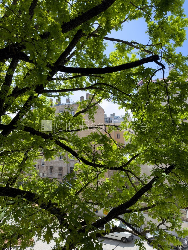 Sludinājumi. Jaunceltne, labiekārtots apzaļumots pagalms, garāža vienai automašīnai, ir lifts, balkons, istaba Cena: 675 EUR/mēn Foto #17