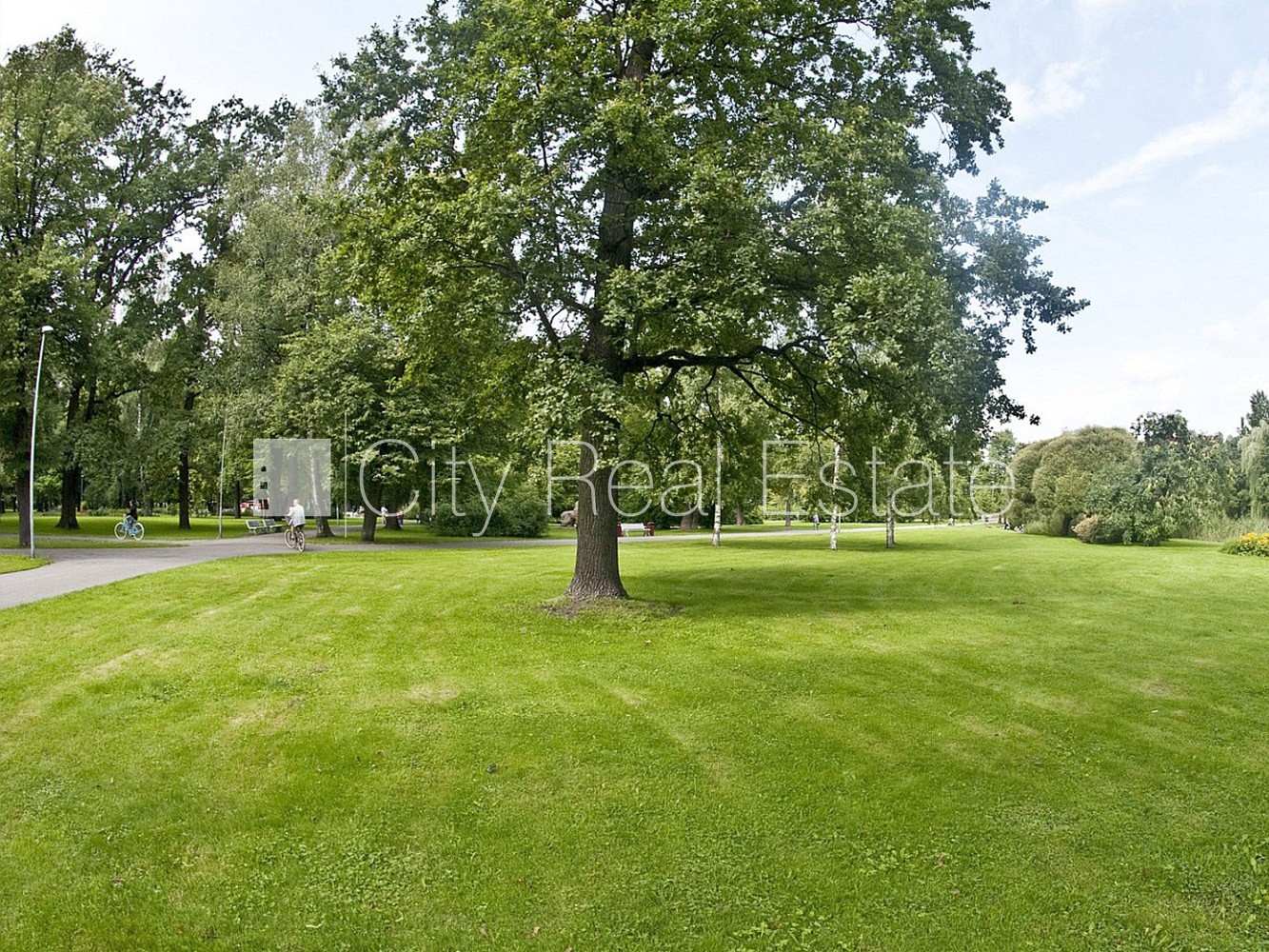 Объявление. Зеленая территория, бесплатная стоянка во дворе, лестничная клетка после косметического ремонта, Цена: 480 EUR/мес. Foto #17