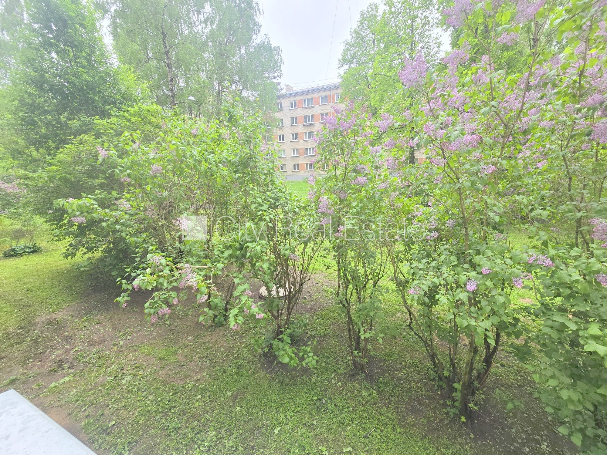 Sludinājumi. Pagalma ēka, kāpņu telpa pēc kosmētiskā remonta, logi vērsti uz pagalma pusi, plašs skats no loga, Cena: 380 EUR/mēn Foto #15