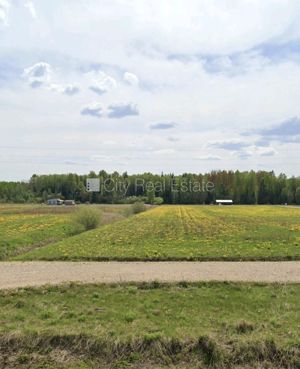 Sludinājumi. Ir elektrība, netālu no galvenā piebraucamā ceļa, nav apgrūtinājumu, CITY REAL ESTATE ID - 518083 
 Cena: 15000 EUR Foto #3