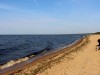 SIA_CityRealEstate_116.jpg