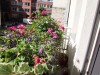 SIA_CityRealEstate_010.jpg
