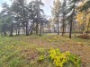 SIA_CityRealEstate_002.jpg
