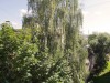 SIA_CityRealEstate_002.jpg