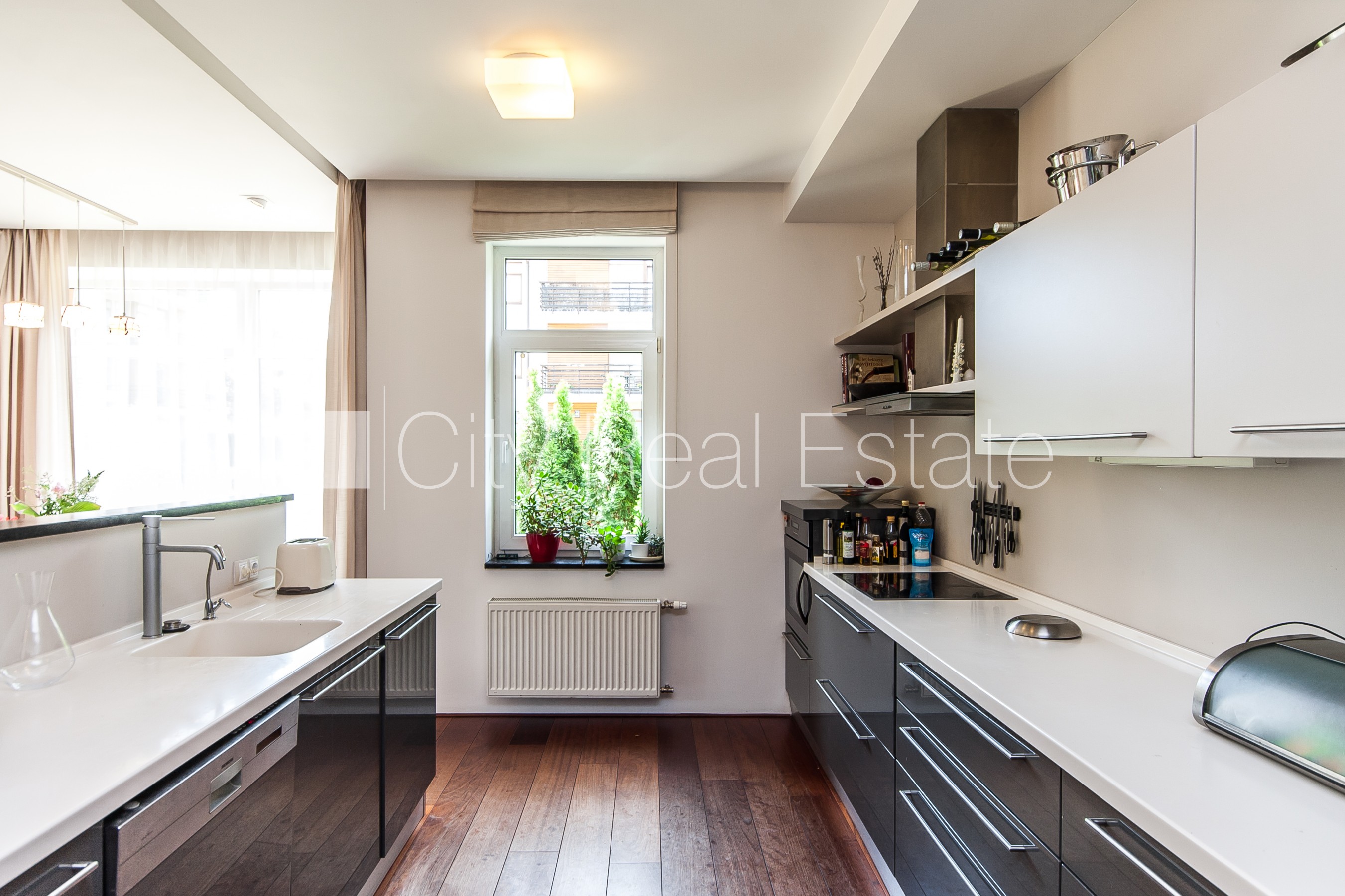 Zalves iela