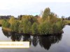 SIA_CityRealEstate_010.jpg