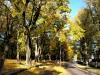 SIA_CityRealEstate_006.jpg