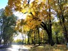 SIA_CityRealEstate_007.jpg