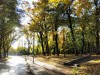 SIA_CityRealEstate_008.jpg