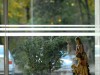 SIA_CityRealEstate_015.jpg