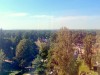 SIA_CityRealEstate_003.jpg
