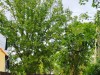 SIA_CityRealEstate_009.jpg
