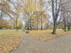 SIA_CityRealEstate_000.jpg