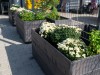 SIA_CityRealEstate_027.jpg