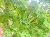 SIA_CityRealEstate_029.jpg